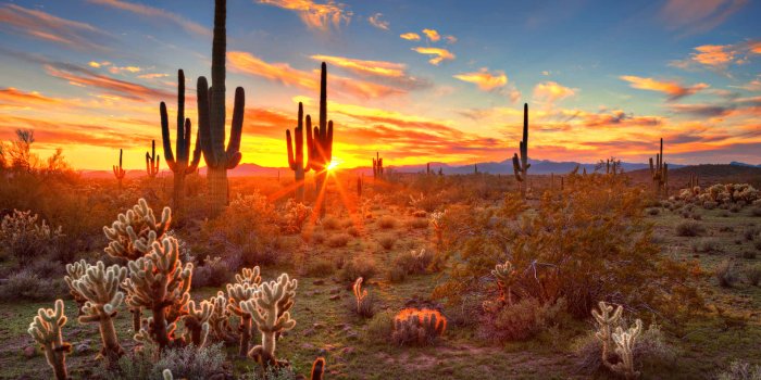 1920x1200 100+] Phoenix Arizona Wallpapers | Wallpapers.com