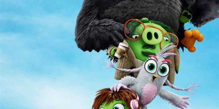 736x1592 the angry birds 2 10k iPhone 11 Wallpapers in 2023 | Angry birds movie, Angry  bird pictures, Angry birds