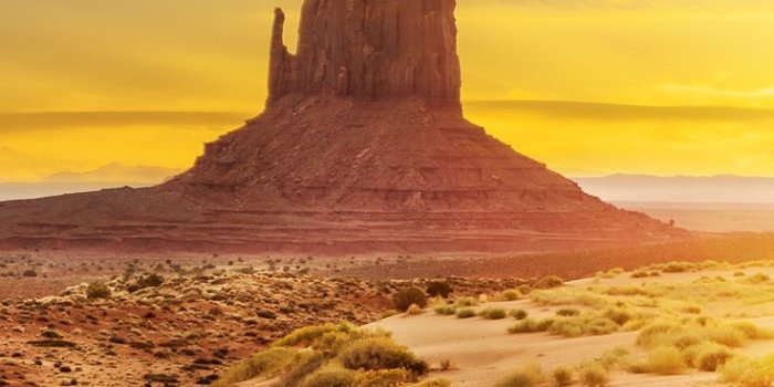 736x1592 iPhone wallpaper | Cool wallpapers for phones, Wallpaper, Team wallpaper