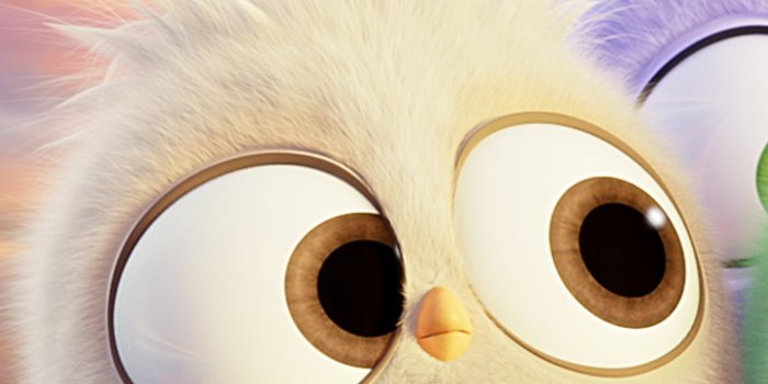 1360x2400 Angry Birds Hatchlings Wallpaper 4k HD ID:3971