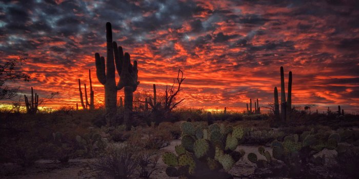 3840x2400 Tucson Arizona Sunset Flaming Sky Desert Landscape With Cactus Desktop Hd  Wallpapers For Mobile… | Arizona sunset, Iphone photography, Beautiful  landscape wallpaper