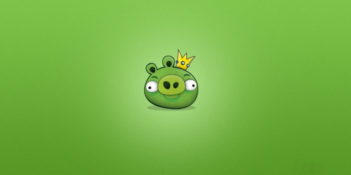 1920x1080 Wallpapers from Angry Birds | gamepressure.com