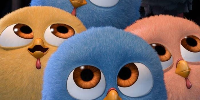 720x1280 Download Free Birds Wallpaper by F4DILs5 - ab - Free on ZEDGE™ now. Browse  millions of popular birds… | Cartoon wallpaper iphone, Cartoon wallpaper,  Bunny wallpaper