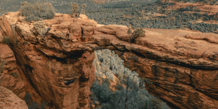 1183x2560 Arizona Wallpaper for iPhone 11, Pro Max, X, 8, 7, 6 - Free Download on  3Wallpapers