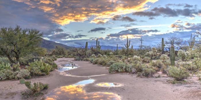 1000x788 500+ Stunning Arizona Pictures [Scenic Travel Photos] | Download Free  Images on Unsplash