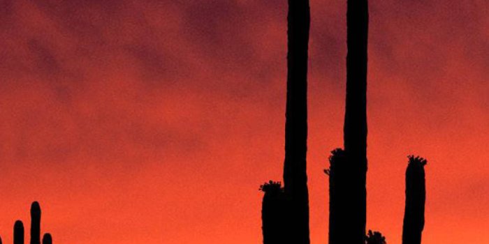 887x1920 100+] Arizona Wallpapers | Wallpapers.com