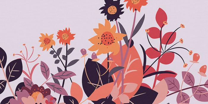 1200x744 Frida & Virginia on Behance