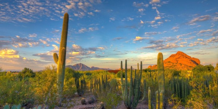 1920x1080 Tucson Arizona Wallpapers