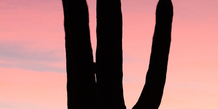 1125x2436 Best Arizona iPhone HD Wallpapers - iLikeWallpaper