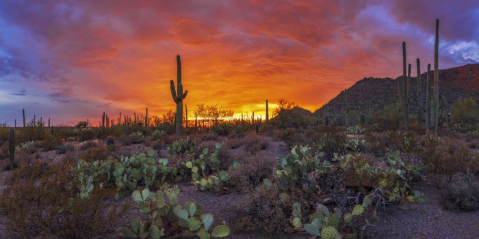 1920x1080 Sunset Beautiful Landscape Pima County County NATURE HD - Eyecandy for your  XFCE-Desktop - xfce-look.org