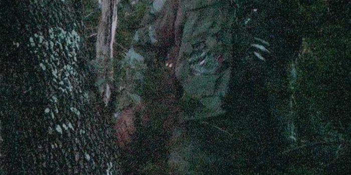 750x1334 Jason Voorhees Wallpaper | WhatsPaper