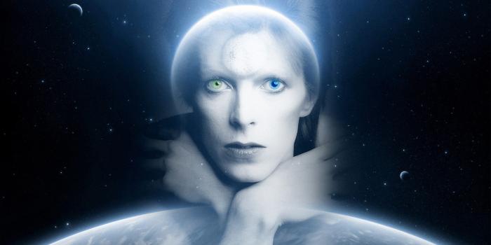 1920x1080 Wallpapers HD (1920*1080) – David Bowie Is