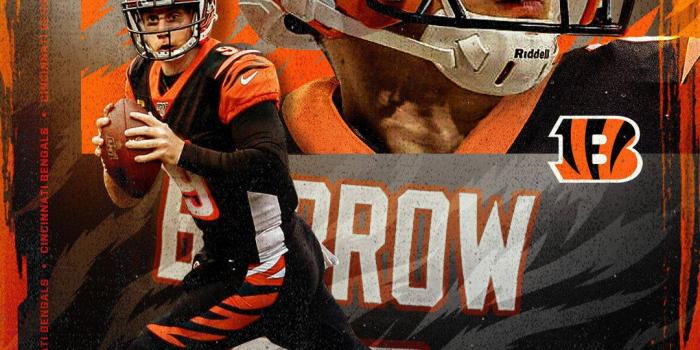 1080x1920 Download Joe Burrow NFL Player Wallpaper | Wallpapers.com