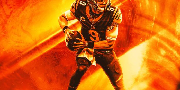 1600x2000 Joe Burrow Poster / Wallpaper : r/bengals