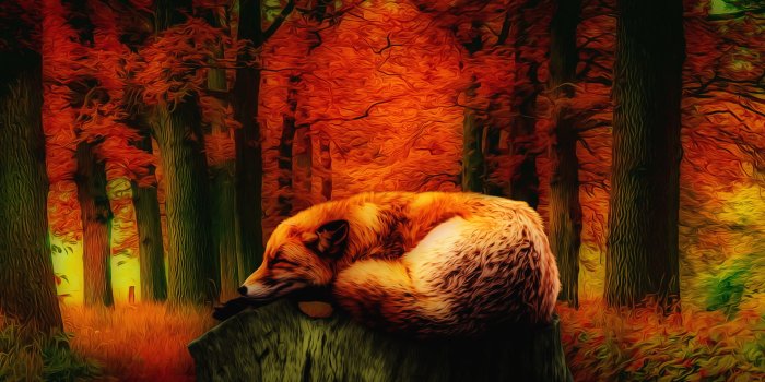 1920x1080 Resting Fox wallpaper - Artwork - Ubuntu MATE Community