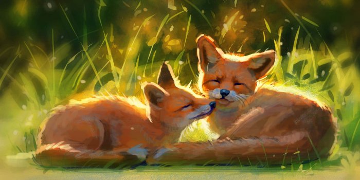 1920x1023 100+] Kawaii Fox Wallpapers | Wallpapers.com