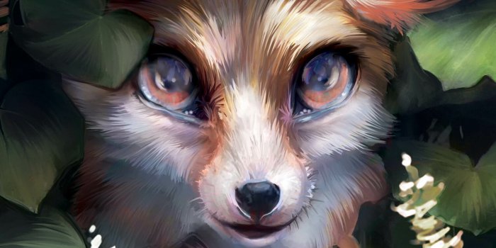 1440x2560 Cute fox Wallpapers Download | MobCup