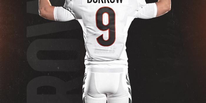 1080x1920 Mobile wallpaper: Sports, Football, Cincinnati Bengals, 1191175 download  the picture for free.