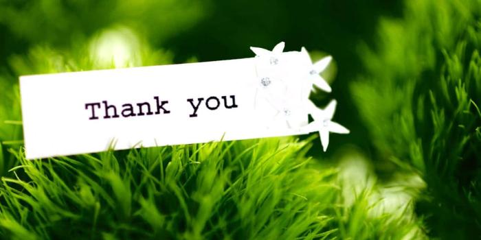 1280x1024 Download Vibrant multicolored Thank You background | Wallpapers.com