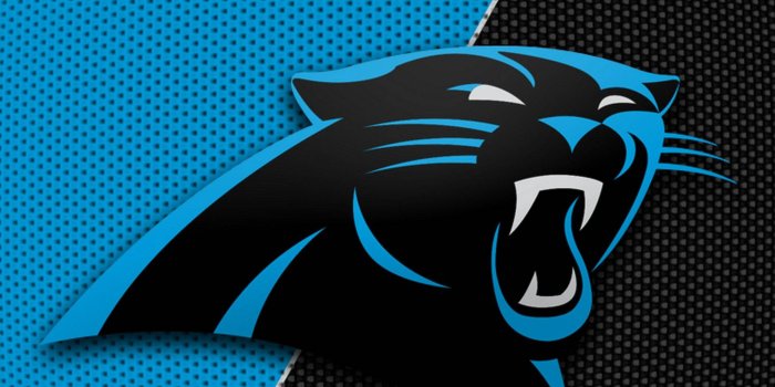 1920x1080 100+] Carolina Panthers Wallpapers | Wallpapers.com