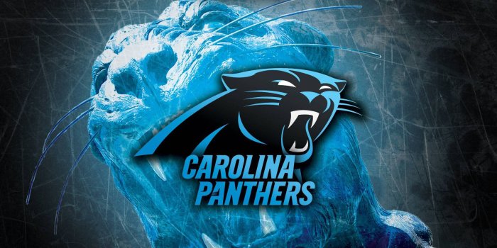 1920x1080 100+] Carolina Panthers Wallpapers | Wallpapers.com