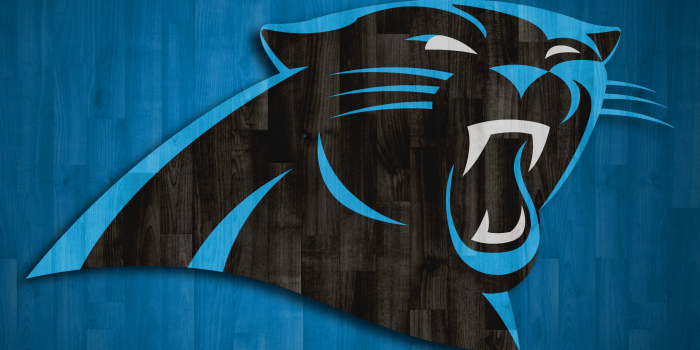 2160x3840 dmkceylon | lka | realestate | Carolina panthers wallpaper, Carolina  panthers logo, Panthers