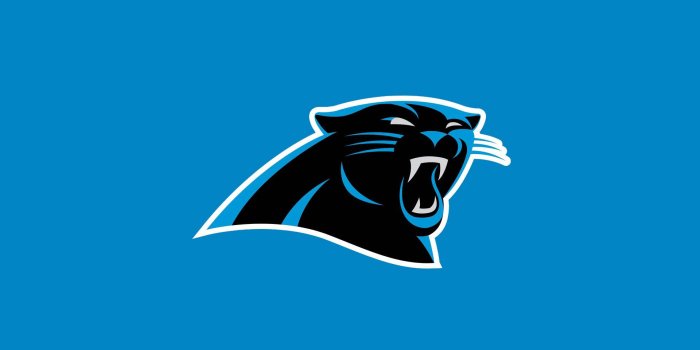 1920x1200 100+] Carolina Panthers Wallpapers | Wallpapers.com