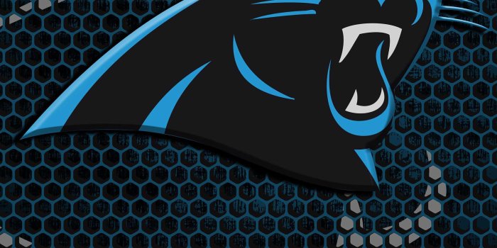 2160x3840 Carolina Panthers Wallpaper - iXpap | Carolina panthers wallpaper, Carolina  panthers, Panthers