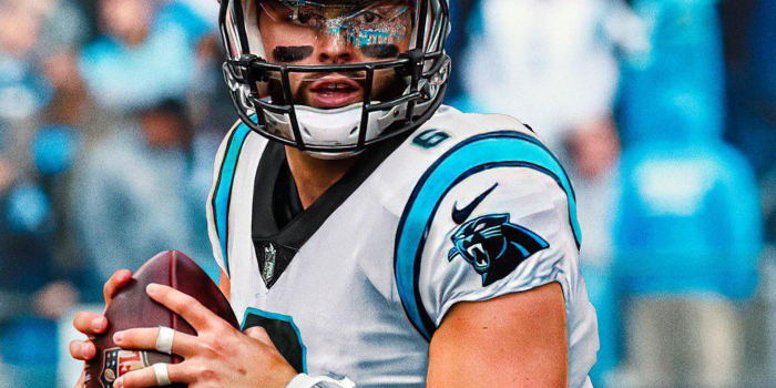 2160x4677 A Redditor requested these as mobile wallpapers : r/panthers