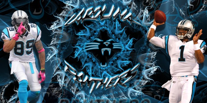 1152x960 Wallpapers By Wicked Shadows: Carolina Panthers Steve Smith Cam Newton  Wallpaper