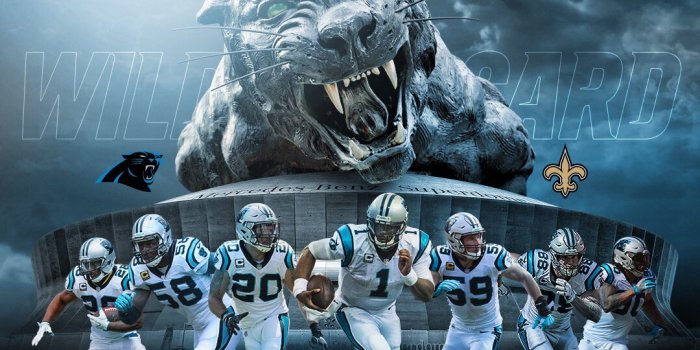 1080x1920 Carolina Panthers on X: 