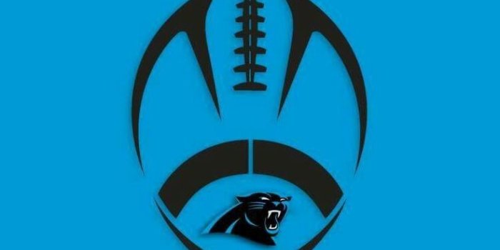 736x1309 Carolina Panthers | Panthers, Carolina panthers wallpaper, Carolina panthers