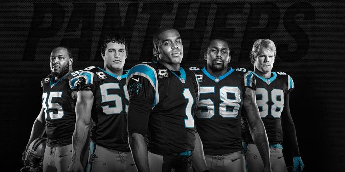 1200x730 Carolina Panthers Players Wallpapers