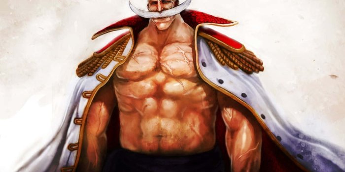 1440x900 100+] Whitebeard Wallpapers | Wallpapers.com