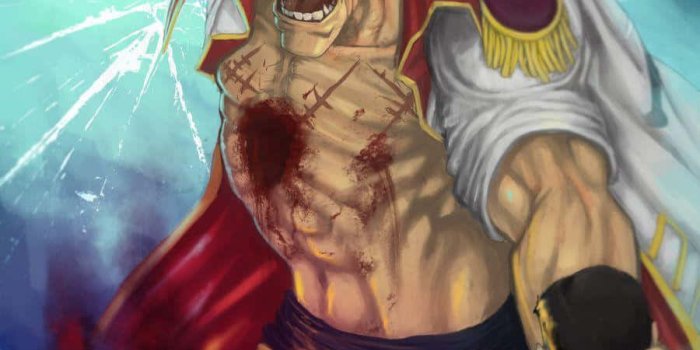 900x994 Download Whitebeard, Legendary Pirate of the Grand Line Wallpaper |  Wallpapers.com