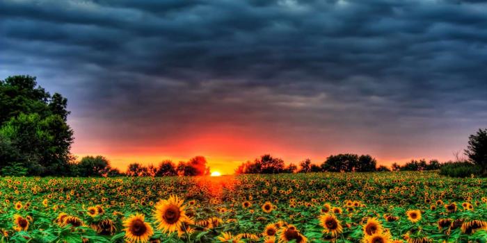 1500x844 The 12 Best Free Summer Wallpapers of 2023