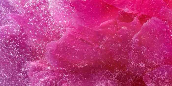 1040x1536 Background Hot Pink Wallpaper - EnWallpaper