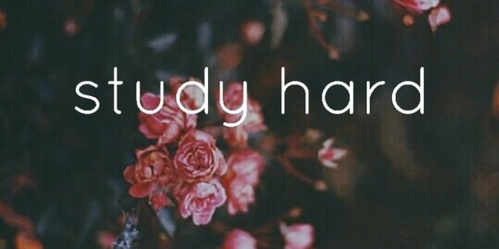 719x1280 Study hard Wallpapers Download | MobCup