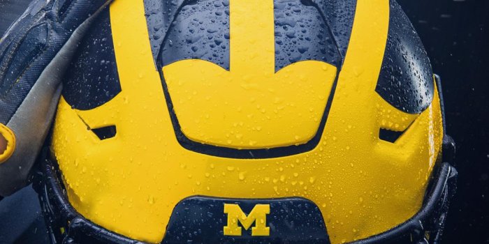 1125x2000 Michigan Mobile Wallpapers - University of Michigan Athletics