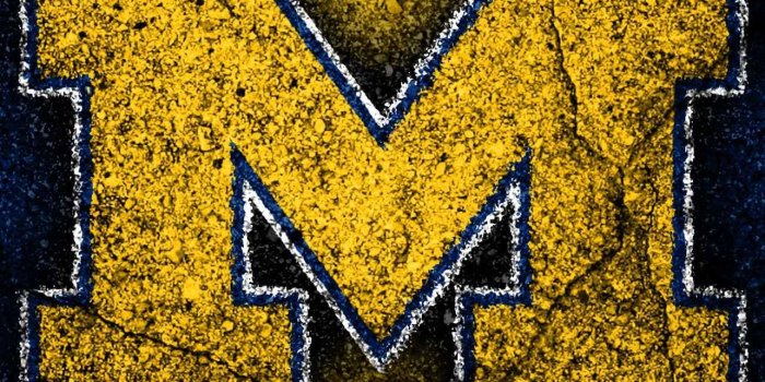 1284x2778 Michigan Wallpaper - iXpap in 2023 | Michigan wolverines football, Michigan,  Michigan go blue