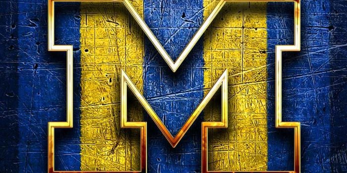 1080x1920 Michigan Wallpaper Discover more American Football, Football, Michigan,  Michigan Football, Michigan Log… | Michigan wolverines football, Michigan,  Michigan football