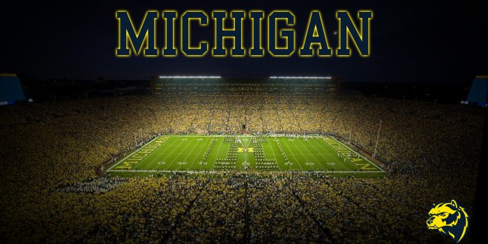 3840x2160 4k Michigan wallpaper I just drew up. : r/MichiganWolverines