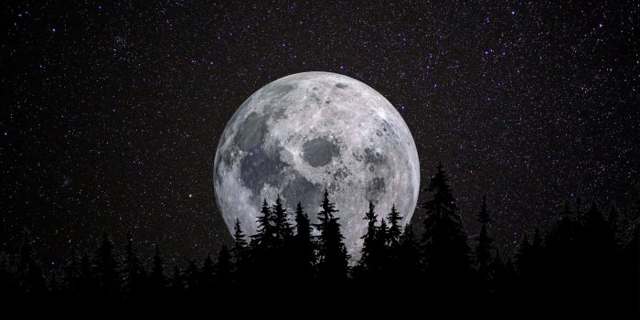 1920x1281 100+] Moon Night Wallpapers | Wallpapers.com