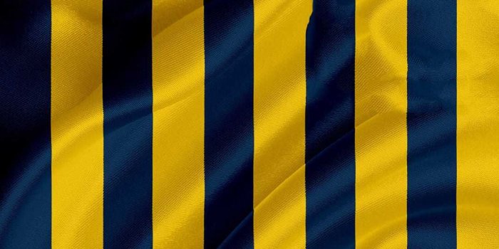 1080x2280 Michigan Wallpaper Discover more American Football, Football, Michigan,  Michigan Football, Michigan Logo … | Michigan go blue, Football wallpaper,  Michigan football