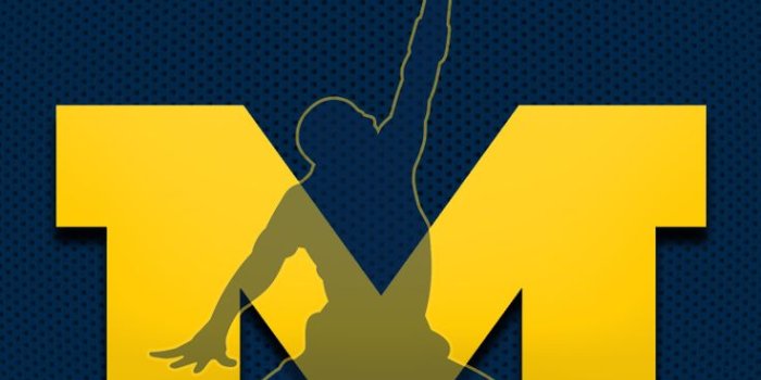 736x1309 iPhone 6 Sports Wallpaper Thread | MacRumors Forums | Sports wallpapers,  Michigan football, Michigan wolverines football
