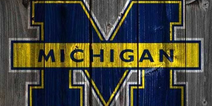 720x1280 Michigan Football Wallpaper Discover more American Football, Football,  Michigan, Michigan Footb… in 2023 | Michigan wolverines football, Michigan  go blue, Michigan football