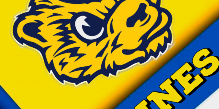 1080x1920 Michigan phone wallpapers : r/TheB1G