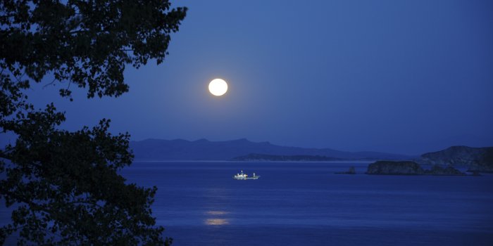 3840x2160 Full Moon Night Ultra HD Desktop Background Wallpaper for : Widescreen &  UltraWide Desktop & Laptop : Multi Display, Dual Monitor : Tablet :  Smartphone