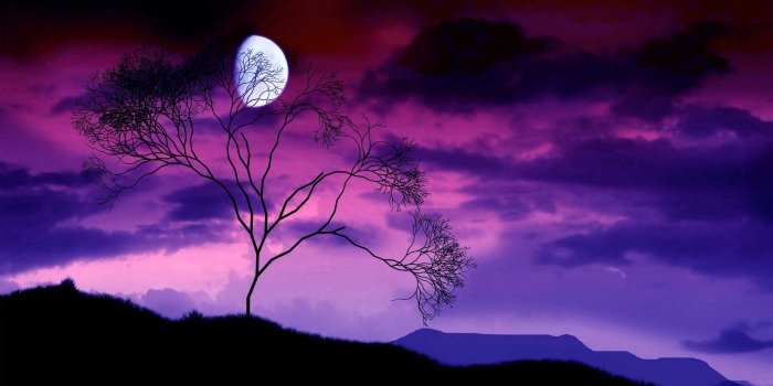 1920x1080 Moon, night, sky, lilac, tree, bush, branches, outlines | picture, photo,  desktop wallpaper.