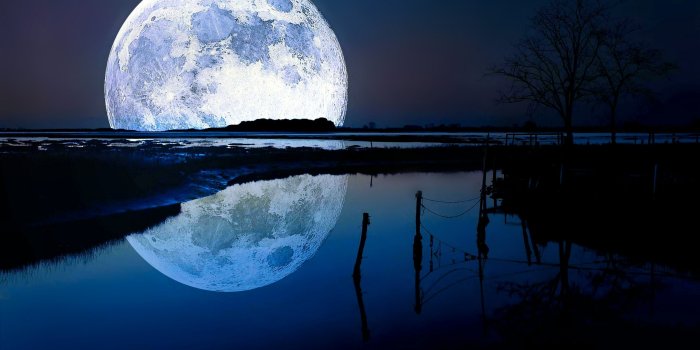 2560x1440 Lake Moon Night Wallpaper 704 2560x1440 - Wallpaper - HD Wallpaper
